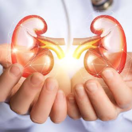 किडनी रोग (Nephrology)